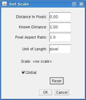 [Set Scale... Dialog]