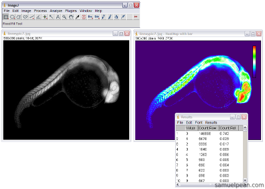  HeatMap Histogram