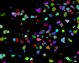 Result of spots segmentation