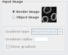 morphological-segmentation-input-image-panel.png