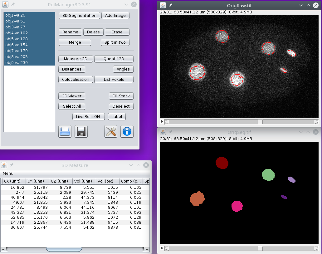 3D Roi Manager [ImageJ Documentation Wiki]